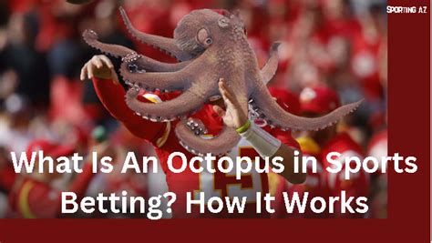 What is an Octopus Bet & How it Works in Football.